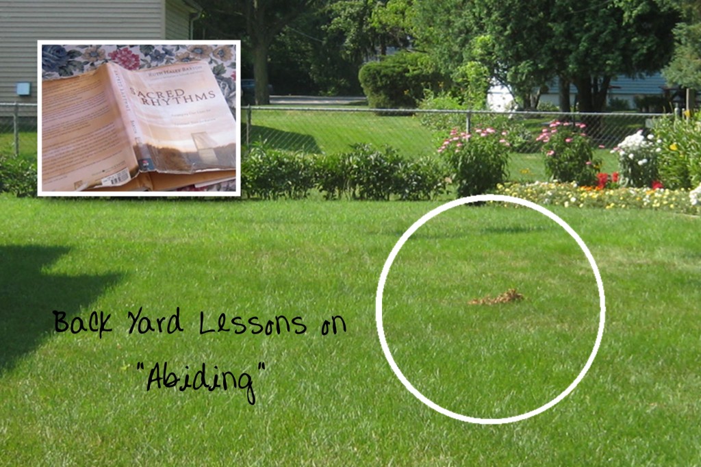 Back Yard Lessons on "Abiding"